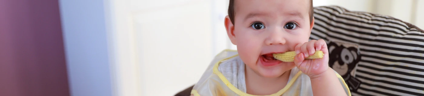 Panduan MPASI untuk Bayi 9 Bulan dan Ide Resep yang Lezat
