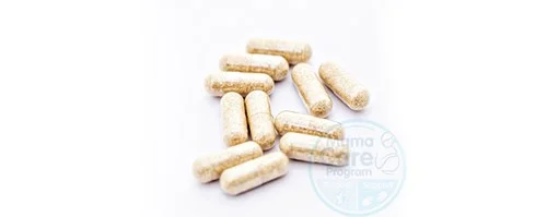 Fenugreek, Tanaman Peningkat Produksi ASI