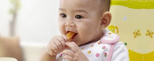 mpasi-dengan-metode-baby-led-weaning-blw_1