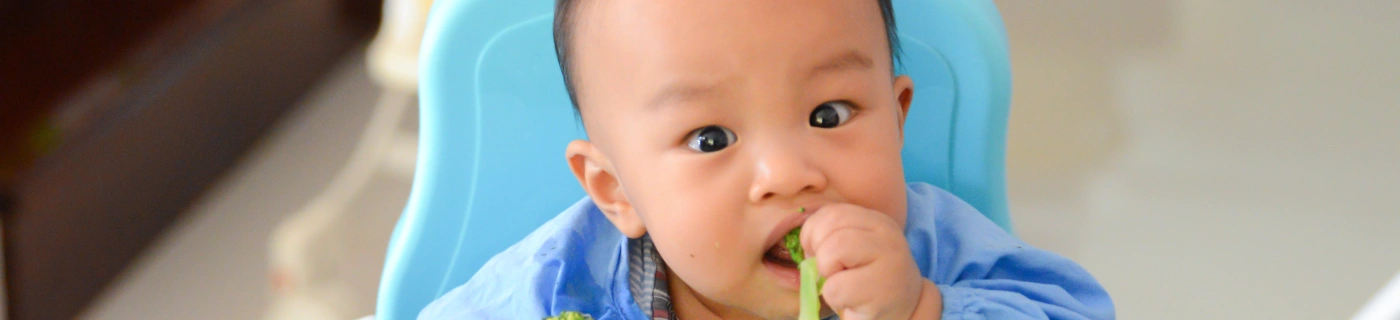 Banner Artikel 11 Pilihan Cemilan Bayi 9 Bulan, Enak dan SImpel!