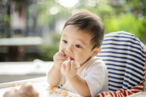 Banner Artikel 11 Camilan Bayi 8 Bulan yang Sehat dan Mudah Dibuat