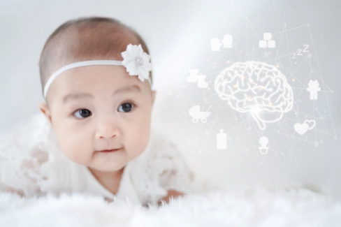 Banner Artikel Tahap Perkembangan Otak Anak dan Cara Optimalkannya