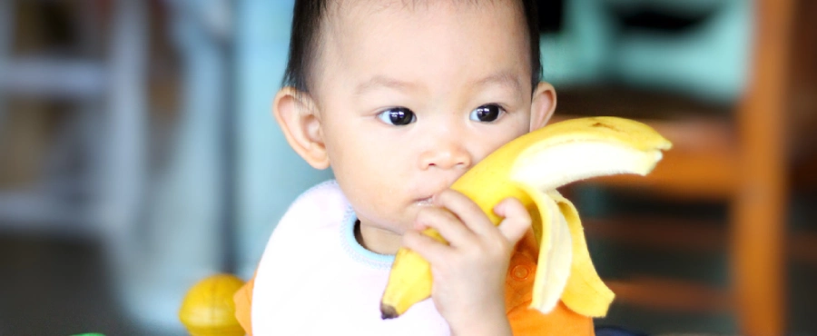 Banner Artikel 10 Manfaat Prebiotik untuk Bayi dan Sumber Terbaiknya