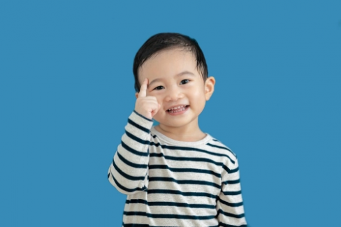 Banner Artikel Fungsi Otak dan Peran Pentingnya dalam Perkembangan Anak