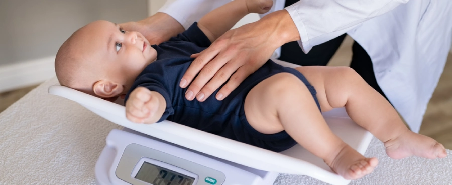 Banner Artikel Berat Badan Bayi 4 Bulan yang Ideal Menurut IDAI & Tips Naiknya