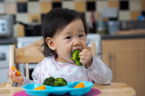 Banner Artikel Panduan MPASI Bayi 11 Bulan: Tekstur, Jadwal, Menu & Resep