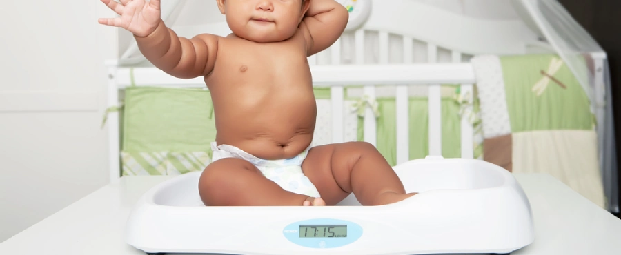 Banner Artikel Berat Badan Bayi 11 Bulan yang Ideal dan Cara Menaikkannya