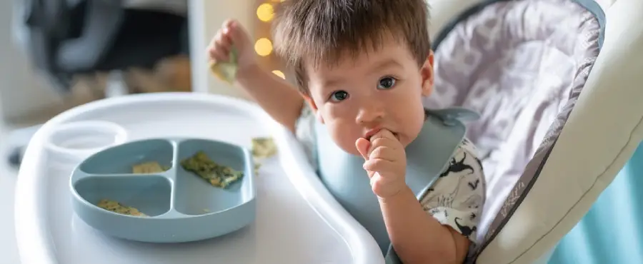 Banner Artikel 17 Ide Camilan Bayi 11 Bulan yang Enak, Sehat, dan Bergizi