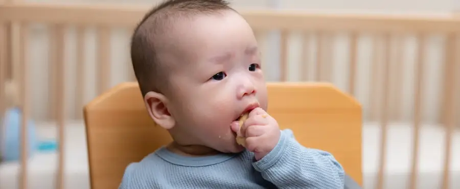 Banner Artikel Panduan Tekstur MPASI 11 Bulan dan Cara Aman Naik Tekstur