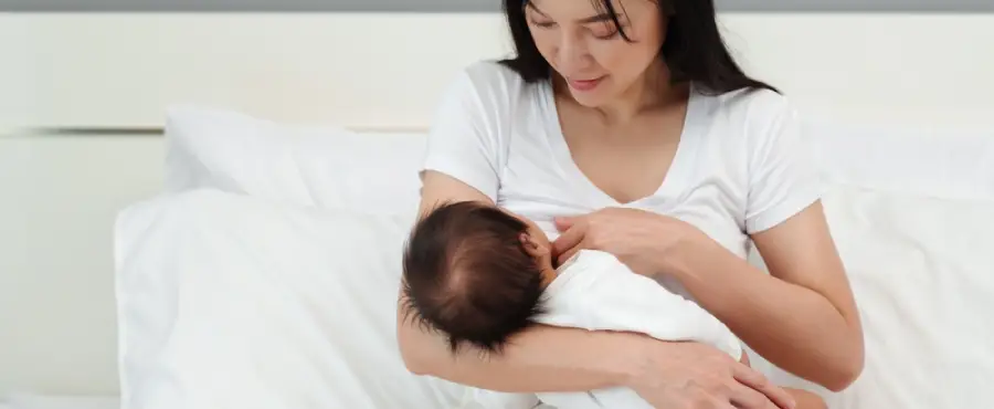 Banner Artikel Persiapan Menyusui Bayi Baru Lahir Sebelum Melahirkan