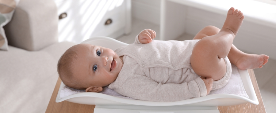 Banner Artikel Perkembangan Berat Badan Bayi Normal Usia 0-12 Bulan