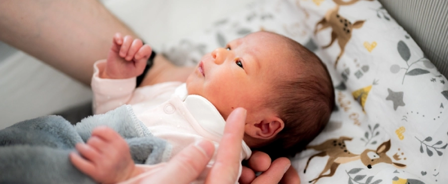 Banner Artikel Cara Merawat Bayi Prematur di Rumah agar Tetap Sehat dan Cepat Tumbuh Banner Artikel Cara Merawat Bayi Prematur di Rumah agar Tetap Sehat dan Cepat Tumbuh