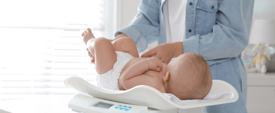 Banner Artikel Cara Membaca Grafik Pertumbuhan Bayi untuk Menilai Tumbuh Kembang Anak Banner Artikel Cara Membaca Grafik Pertumbuhan Bayi untuk Menilai Tumbuh Kembang Anak