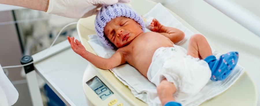 Banner Artikel Kenapa Bayi Prematur Rentan Sakit? Ini Gangguan Kesehatan yang Sering Terjadi