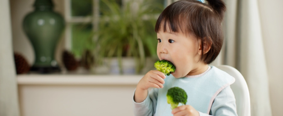 Banner Artikel Daftar Makanan Sehat untuk Anak Usia 1–5 Tahun dan Manfaatnya