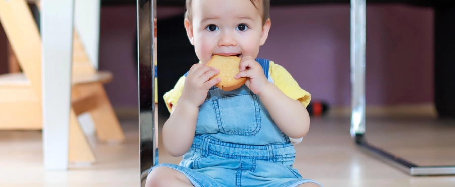 Banner Artikel 10 Camilan Tinggi Protein untuk Anak yang Praktis dan Bergizi Banner Artikel 10 Camilan Tinggi Protein untuk Anak yang Praktis dan Bergizi