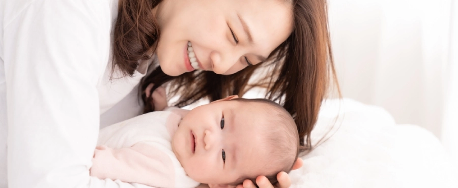 Banner Artikel Pilihan Makanan untuk Ibu Menyusui agar Bayi Cerdas dan Gemuk