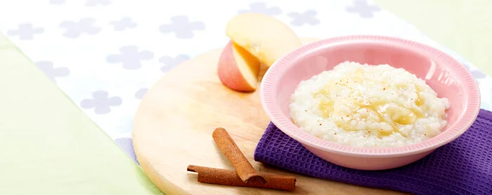 Resep Menu MPASI Puding Nasi