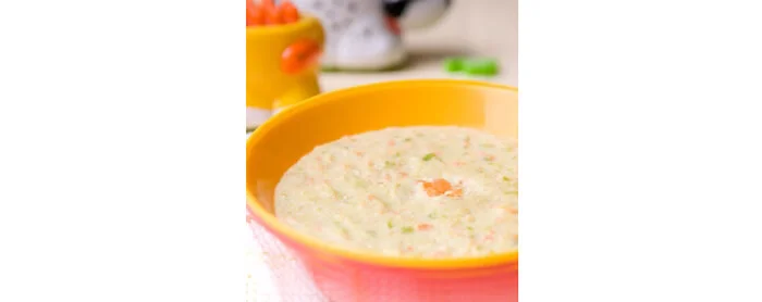 Menu MPASI Bubur Sayur Ayam