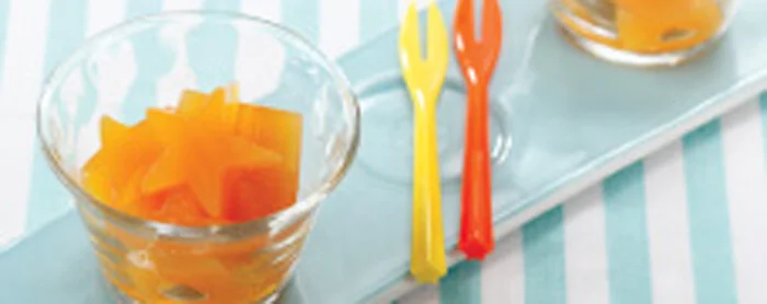 Puding Tropical