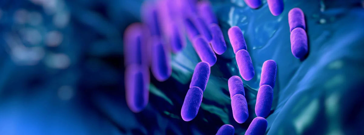 Susu yang Mengandung Probiotik: Cara Konsumsi dan Efek Samping