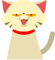 cat.png                                                
