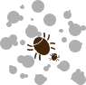 tungau.png                                                