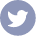 twitter-logo